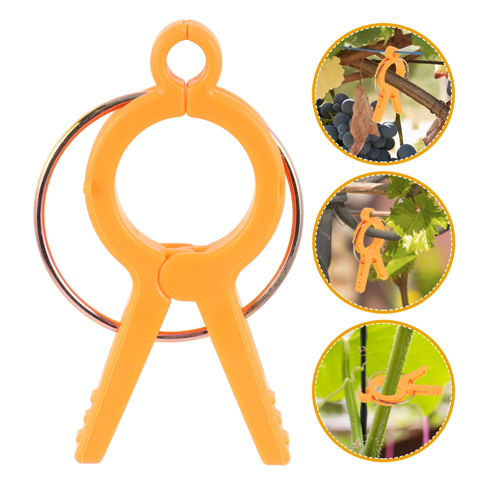 12pcs Tomato Fixing Clips Plant Support Clamps Garden Vine Clamps Durable Reusable Strong For Plants Upright Growth Snap
12pcs Tomato Fixing Clips Plant Support Clamps Garden Vine Clamps Durable Reusable Strong For Plants Upright Growth Snap