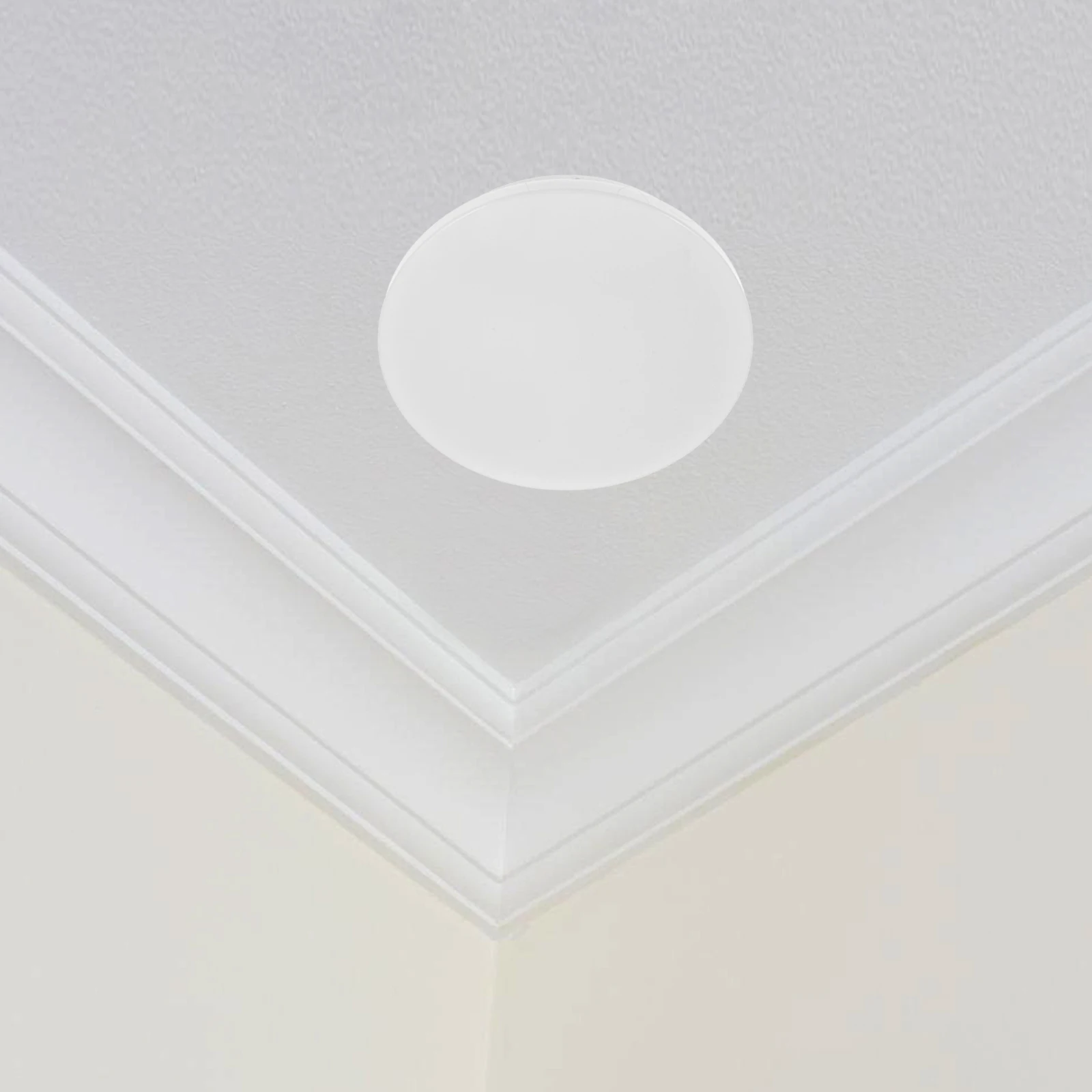 Shade Accessories Ceiling Light Cover Heat Lamp Floor Fan Globe Replacement Covers Dome
Shade Accessories Ceiling Light Cover Heat Lamp Floor Fan Globe Replacement Covers Dome