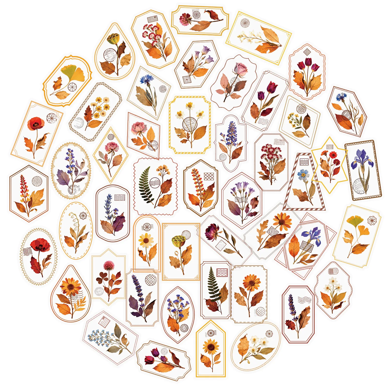 56PCS Retro Literary Plant PET Sticker DIY Decoration Mobile Phone Case Notebook Water Cup Toy Gift Sticker
56PCS Retro Literary Plant PET Sticker DIY Decoration Mobile Phone Case Notebook Water Cup Toy Gift Sticker