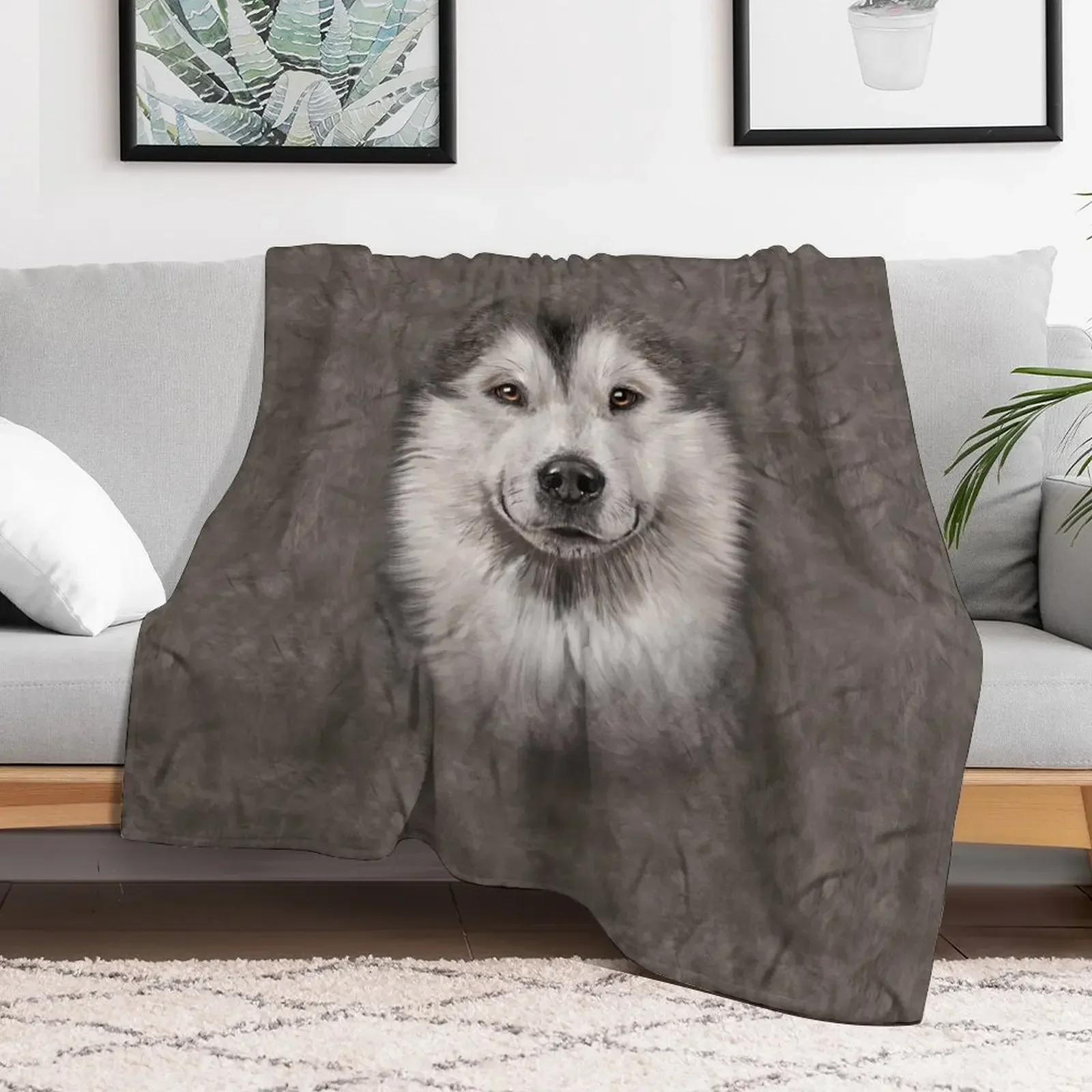 Mens Womens Alaskan Malamute Face 3d Gift Throw Blanket Vintage manga blankets ands Decorative Sofa Blankets
Mens Womens Alaskan Malamute Face 3d Gift Throw Blanket Vintage manga blankets ands Decorative Sofa Blankets