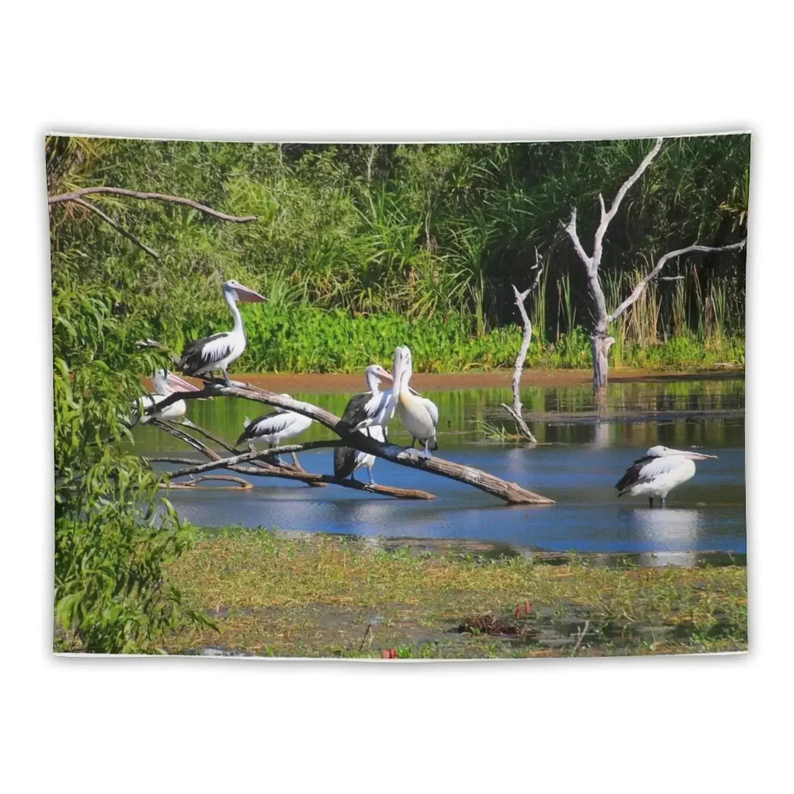 Pelicans in wetlands, Outback Australia Tapestry For Bedroom Room Decor Cute Tapestry
Pelicans in wetlands, Outback Australia Tapestry For Bedroom Room Decor Cute Tapestry