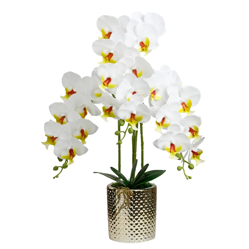 Bougainvillea Artificial Flower. Handmade Fake Flower. Nordic Light Luxury Flower Arrangement for Dining Table and Flower Decor
Bougainvillea Artificial Flower. Handmade Fake Flower. Nordic Light Luxury Flower Arrangement for Dining Table and Flower Decor
