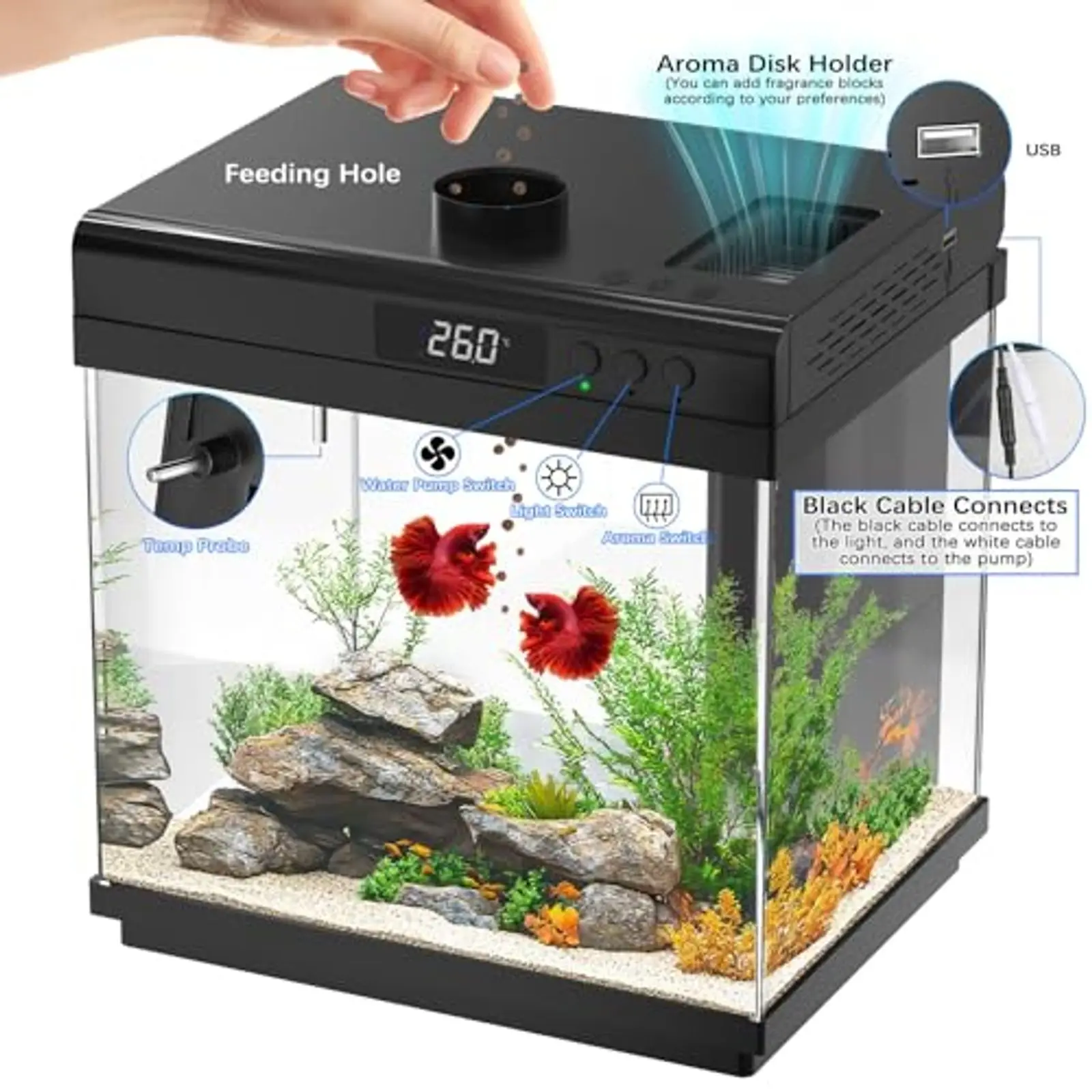 3.7 Gallon Aquarium Starter Kit – Small Glass Fish Tank with Filter & 10-Color Adjustable Light, Self-Cleaning Betta Tank for Of
3.7 Gallon Aquarium Starter Kit – Small Glass Fish Tank with Filter & 10-Color Adjustable Light, Self-Cleaning Betta Tank for Of
