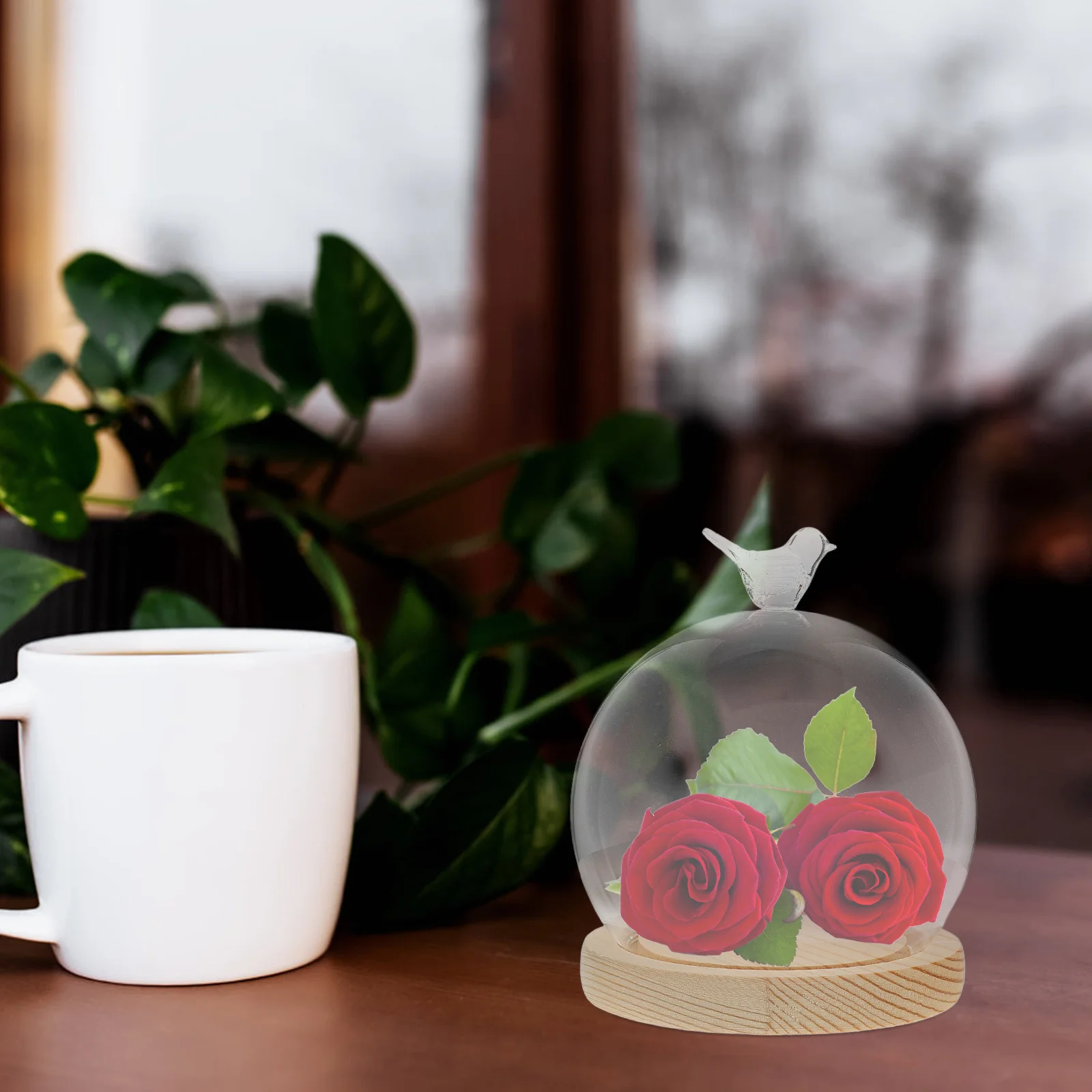 1Set Glass Display Dome Cloche Bird Knob Clear Globe Show Case for Preserved Flower Vintage Decorative Decor
1Set Glass Display Dome Cloche Bird Knob Clear Globe Show Case for Preserved Flower Vintage Decorative Decor