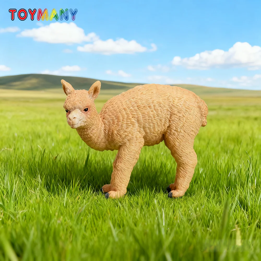 Toymany Simulation Standing Alpaca Baby, Wildlife Animal Model for Kids Children Gift Set, Mini Collectible Figurines
Toymany Simulation Standing Alpaca Baby, Wildlife Animal Model for Kids Children Gift Set, Mini Collectible Figurines
