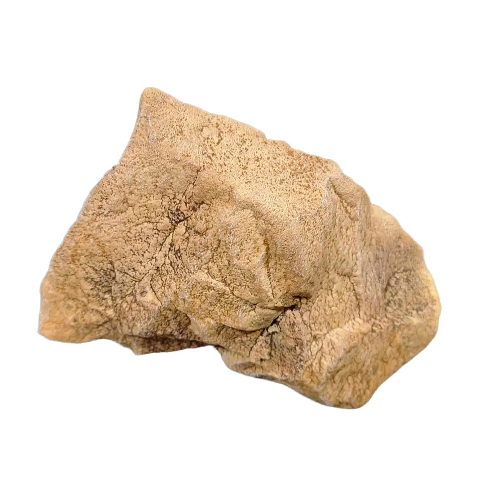 Artificial Stone Faux Rock Lightweight Outdoor Landscaping PU Foam Diorama Supplies for Hotel Garden Decor Office Mall Bonsai
Artificial Stone Faux Rock Lightweight Outdoor Landscaping PU Foam Diorama Supplies for Hotel Garden Decor Office Mall Bonsai