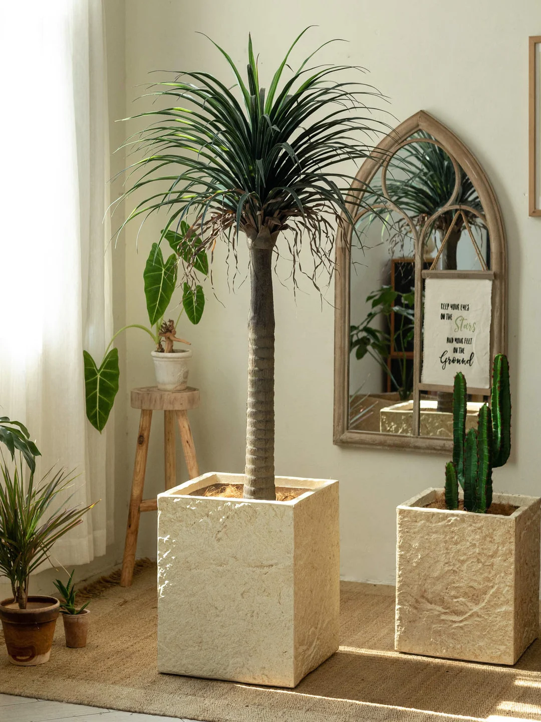 Large Size Cerc Imitation Flower Pot for Living Room Turtle Ba Bamboo Special Luxury mat Sle Nordic Sle
Large Size Cerc Imitation Flower Pot for Living Room Turtle Ba Bamboo Special Luxury mat Sle Nordic Sle