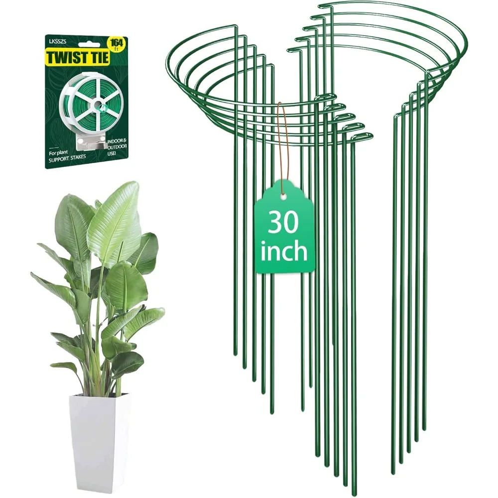 10 Pack 30 Inch Heavy-Duty Metal Plant Support Stakes for Peony Tomato Hydrangea Garden
10 Pack 30 Inch Heavy-Duty Metal Plant Support Stakes for Peony Tomato Hydrangea Garden