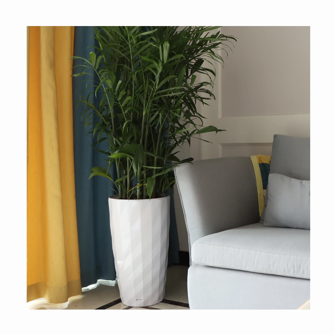 Wholesale Modern Large White Self-Watering Plastic Flower Pot Vase Custom Logo Design Tall Floor Planter for Living Room
Wholesale Modern Large White Self-Watering Plastic Flower Pot Vase Custom Logo Design Tall Floor Planter for Living Room