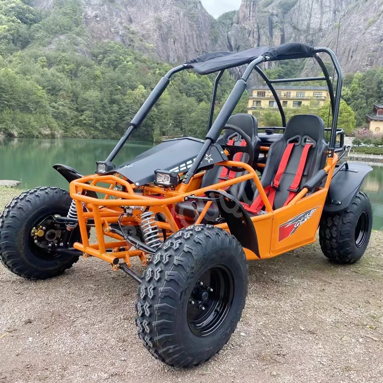 Good Quality Cheap Heavy Duty Double Seat Kart Pedal Karts For Kids And Adults
Good Quality Cheap Heavy Duty Double Seat Kart Pedal Karts For Kids And Adults