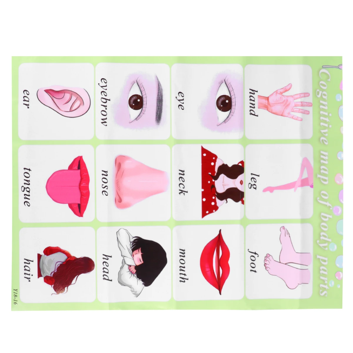 Early Education 30x40CM PP Teaching Wall Chart Teaching Wall Chart Kids Learn English Words Colors Body Parts Toy
Early Education 30x40CM PP Teaching Wall Chart Teaching Wall Chart Kids Learn English Words Colors Body Parts Toy