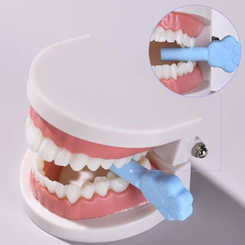 Cat Claw Style Aligner Chewies For Silicone&ABS Food-Grade Orthodontic Retainers Durable Reusable
Cat Claw Style Aligner Chewies For Silicone&ABS Food-Grade Orthodontic Retainers Durable Reusable