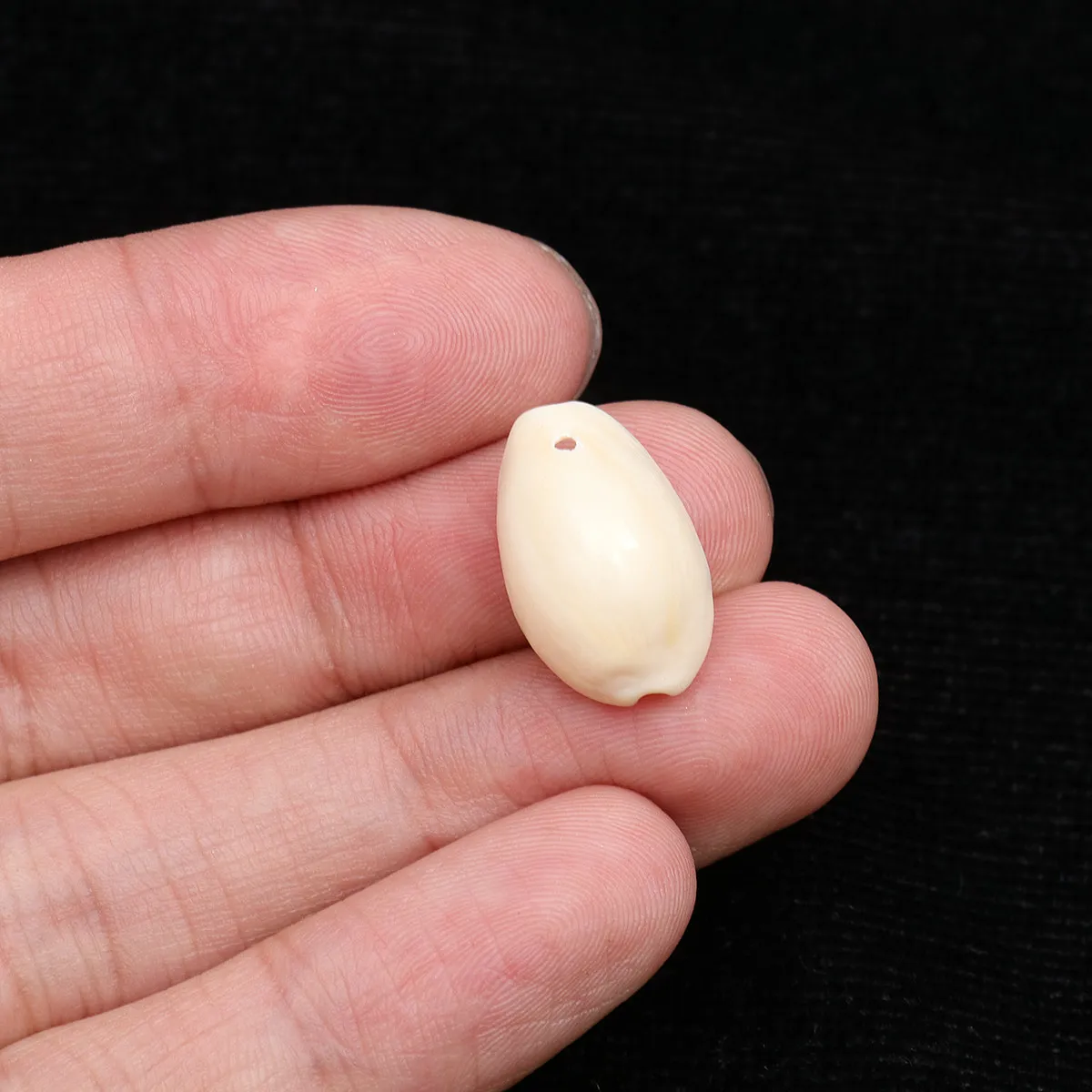 50Pcs 1.6cm Conch Pendant Sea Snail Shell DIY Jewelry Making Fun Profitable Accessories Hanging Decoration Yellow
50Pcs 1.6cm Conch Pendant Sea Snail Shell DIY Jewelry Making Fun Profitable Accessories Hanging Decoration Yellow