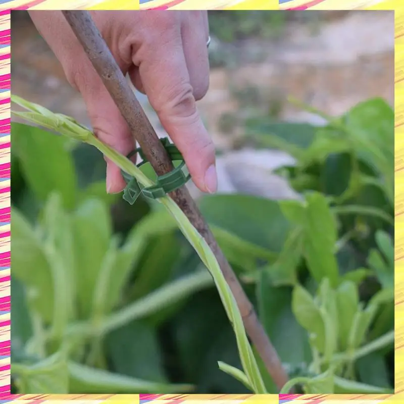 ABJJ 1000 PCS Garden Plant Support Clips, Tomato Clips, Trellis Clips, For Cucumber Flower Squash Vine, 1 Inch Inner Diameter
ABJJ 1000 PCS Garden Plant Support Clips, Tomato Clips, Trellis Clips, For Cucumber Flower Squash Vine, 1 Inch Inner Diameter