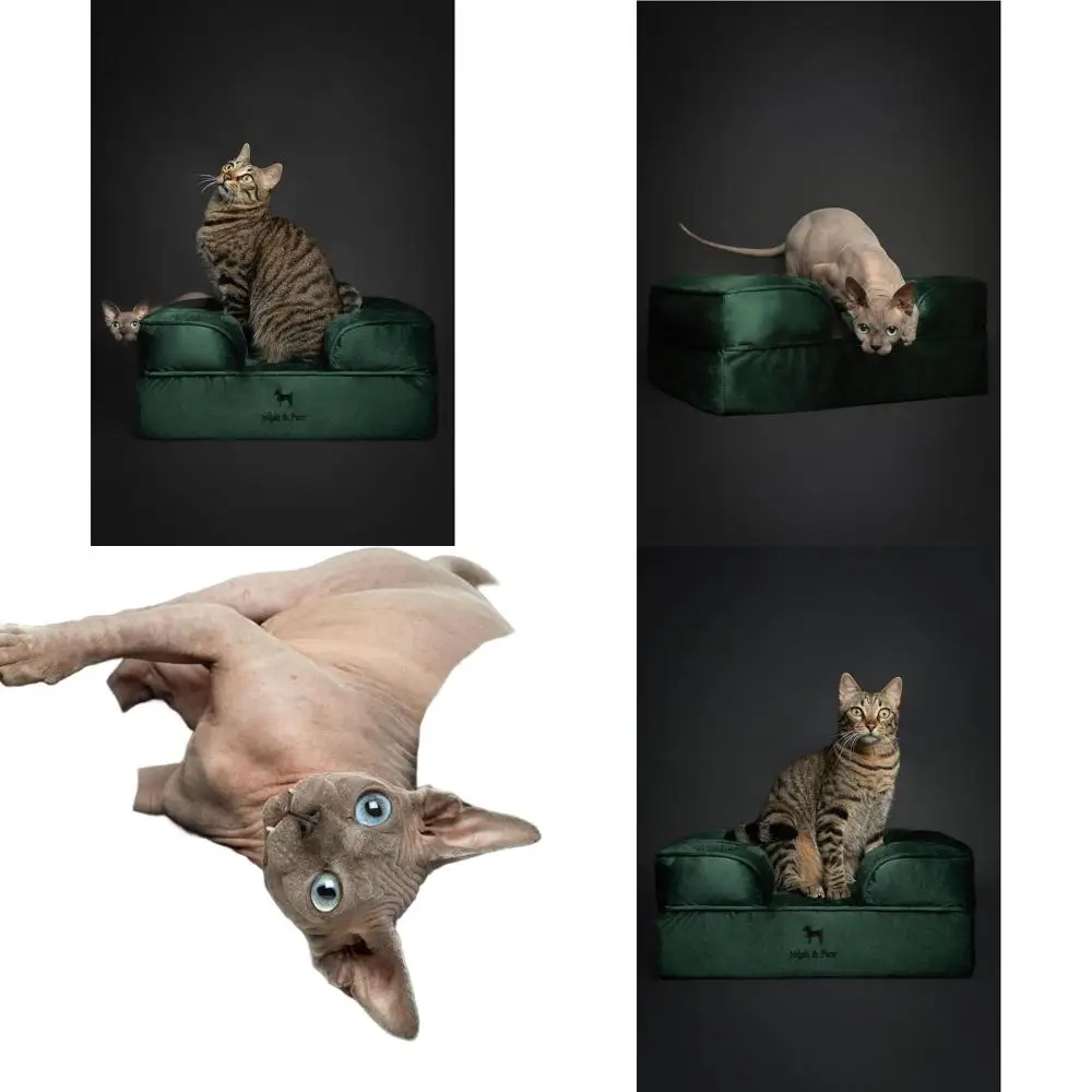 Ортопедическая кровать из пены с эффектом памяти для кошек и маленьких собак, 20x15x8 дюймов, охлаждающий гель, водонепроницаемый и моющийся
Ортопедическая кровать из пены с эффектом памяти для кошек и маленьких собак, 20x15x8 дюймов, охлаждающий гель, водонепроницаемый и моющийся