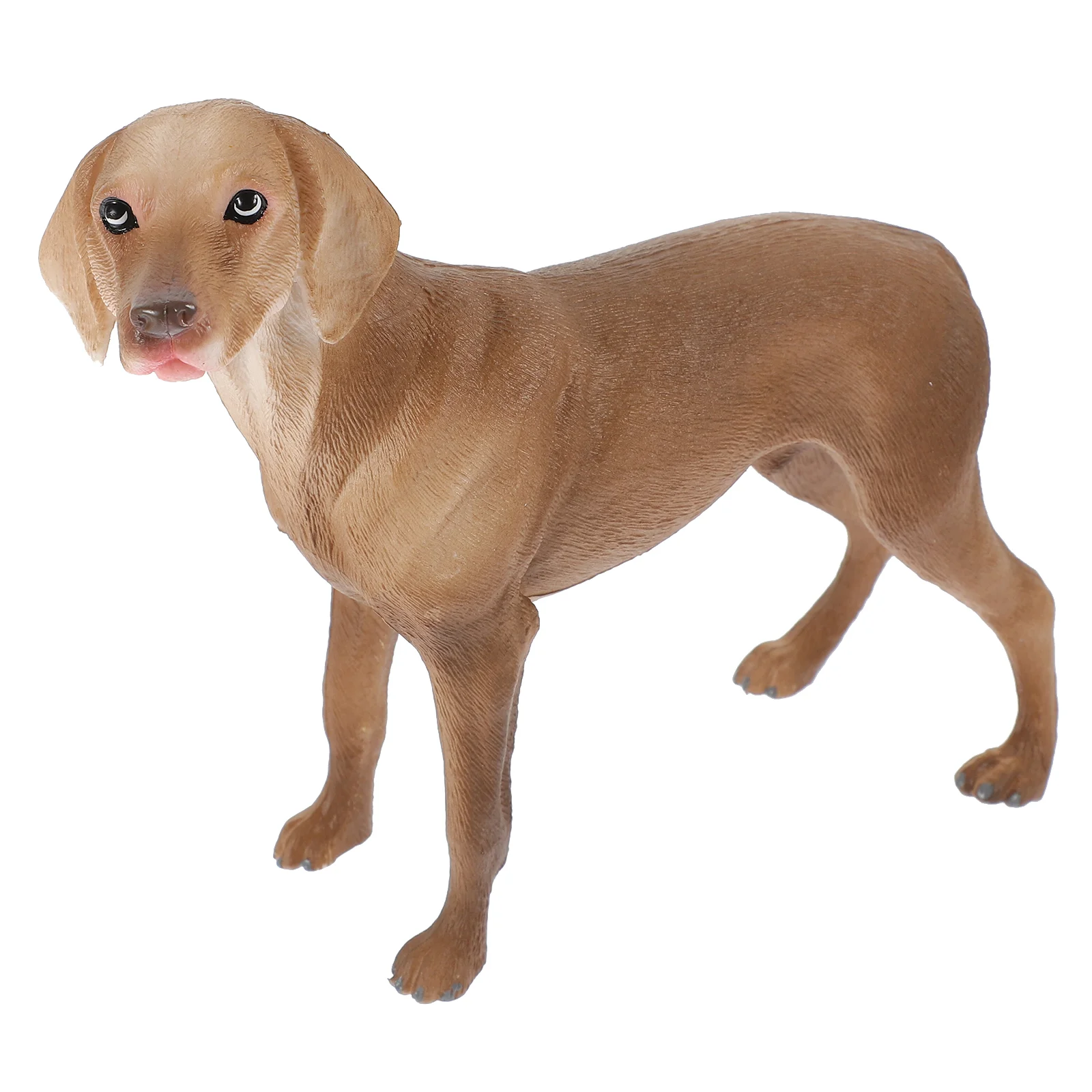 Simulation Pet Dog Craft Mini Toys Puppy Model Ornament Statue Models Desktop Realistic Decorative
Simulation Pet Dog Craft Mini Toys Puppy Model Ornament Statue Models Desktop Realistic Decorative