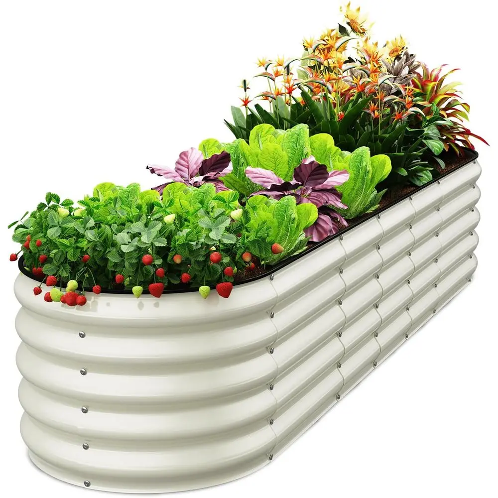 Овальная садовая кровать из оцинкованного металла размером 8 x 2 x 1,5 фута для уличных овощей, цветов и трав (жемчужно-белый)
Овальная садовая кровать из оцинкованного металла размером 8 x 2 x 1,5 фута для уличных овощей, цветов и трав (жемчужно-белый)