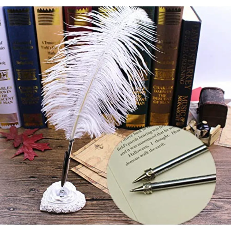 Big Size Ostrich Feather Ballpoint Pen-Writing Quill Pen Wedding Reception Pen Gift Pen
Big Size Ostrich Feather Ballpoint Pen-Writing Quill Pen Wedding Reception Pen Gift Pen