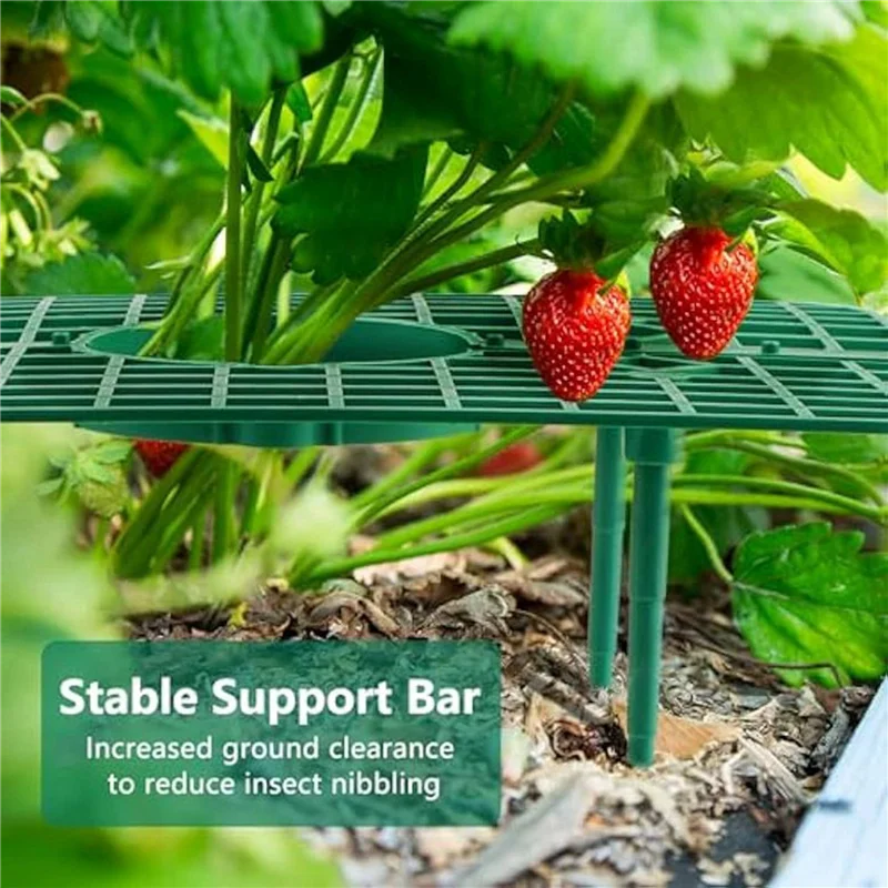 20Pack Strawberry Plant Support, Strawberry Planting Stand, Strawberry Growing Racks, Strawberry Growing Frame-B09B
20Pack Strawberry Plant Support, Strawberry Planting Stand, Strawberry Growing Racks, Strawberry Growing Frame-B09B