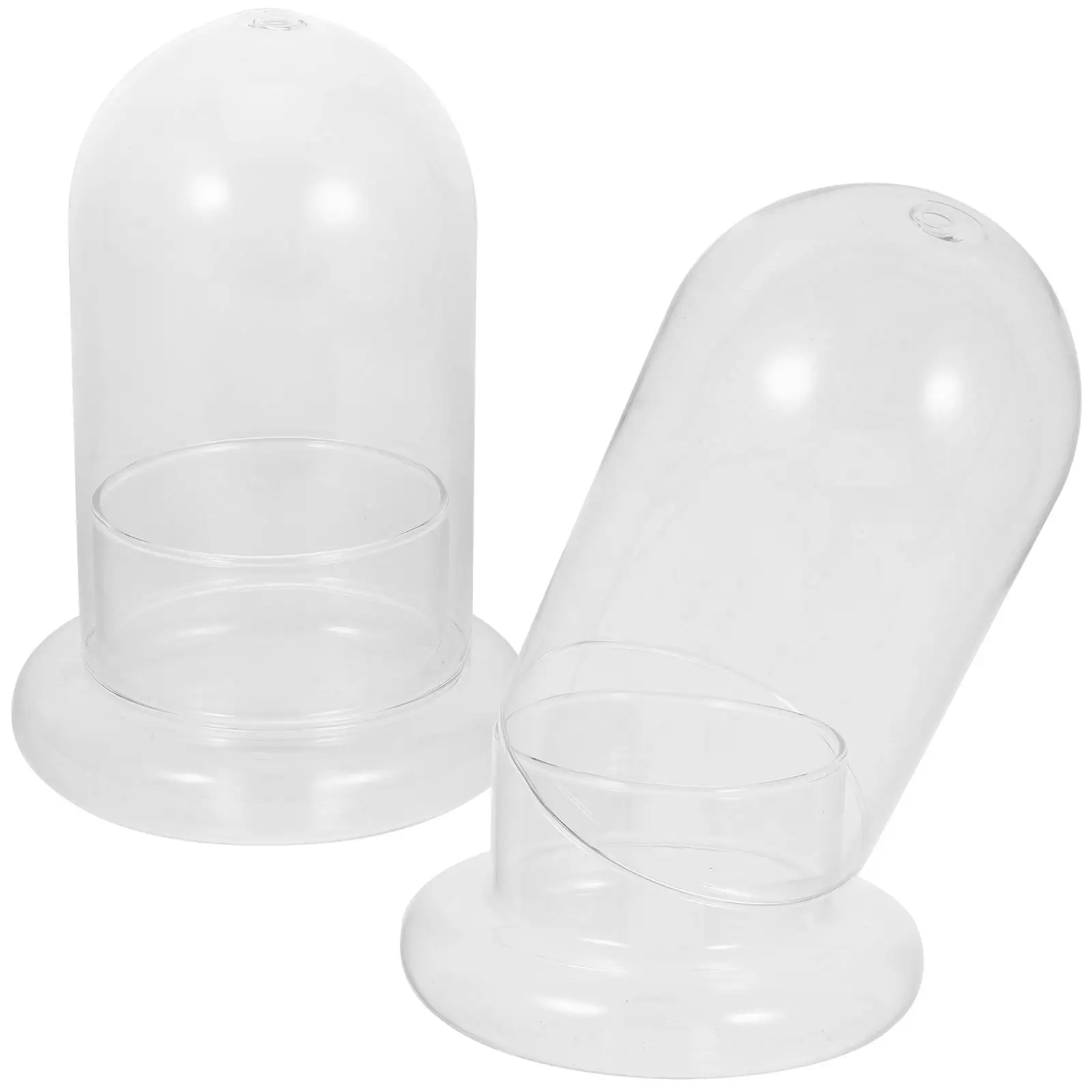 2 Pcs Sealed Terrarium Moss Cylinder Vases Landscape Holder Bottle Plants Borosilicate
2 Pcs Sealed Terrarium Moss Cylinder Vases Landscape Holder Bottle Plants Borosilicate