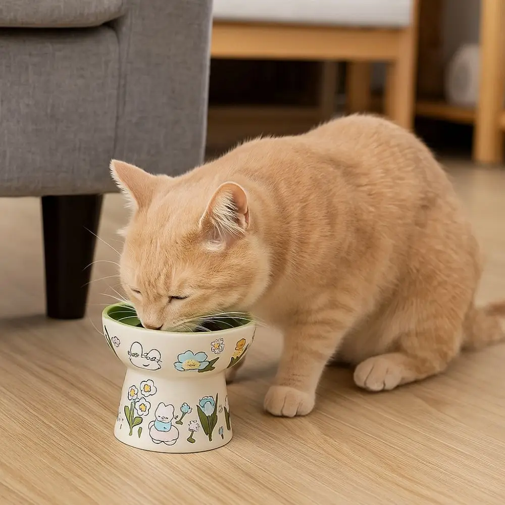 Green Rabbit Ceramic Cat Bowl Diagonal Non-Slip High Foot Drinking Bowl Flower Pattern Pet Feeding Bowl
Green Rabbit Ceramic Cat Bowl Diagonal Non-Slip High Foot Drinking Bowl Flower Pattern Pet Feeding Bowl