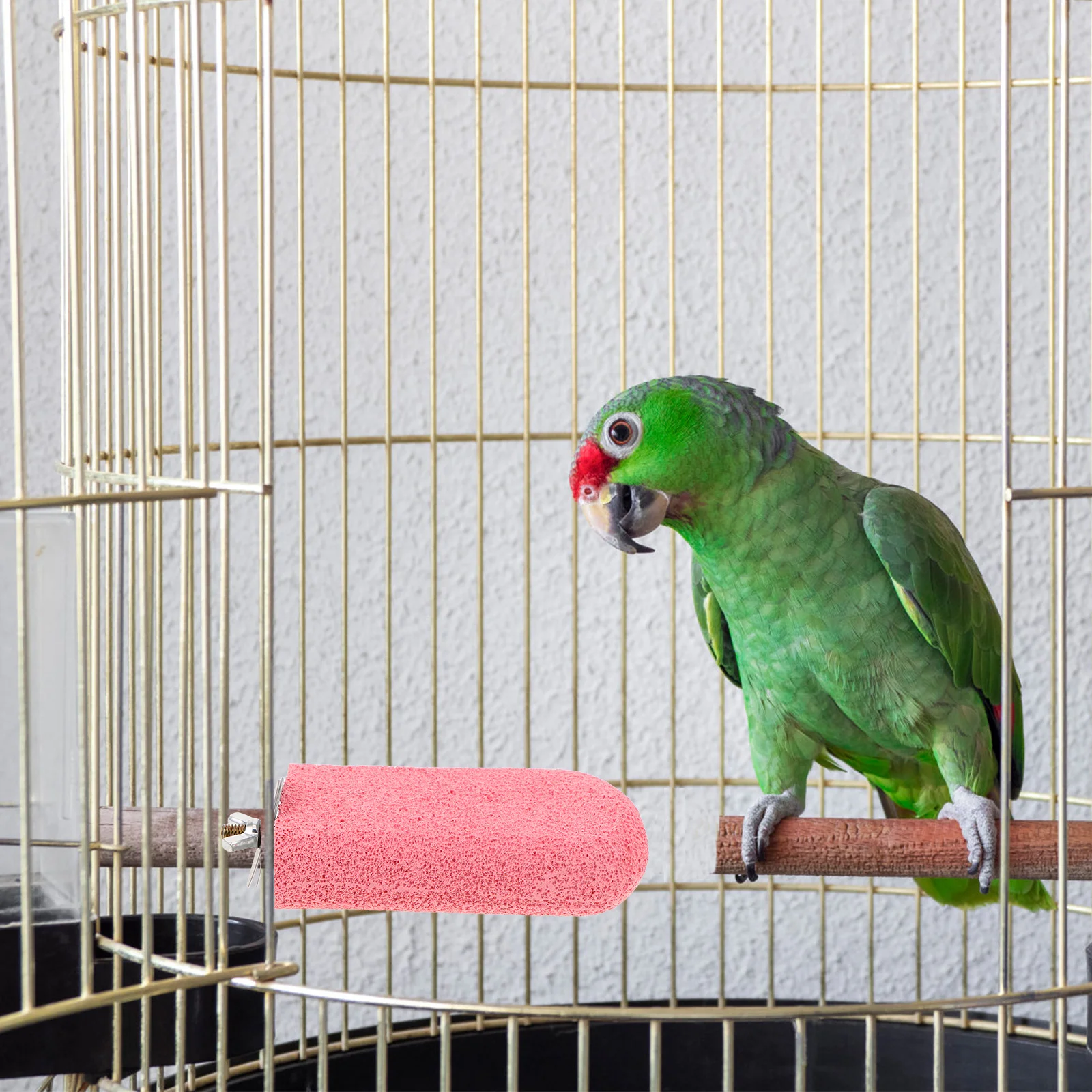 3Pcs Parrot Perch Standing Platform Sanded Flat Perches Shelf Grinding Beak Claw Care Interactive Playstand for Parakeets
3Pcs Parrot Perch Standing Platform Sanded Flat Perches Shelf Grinding Beak Claw Care Interactive Playstand for Parakeets