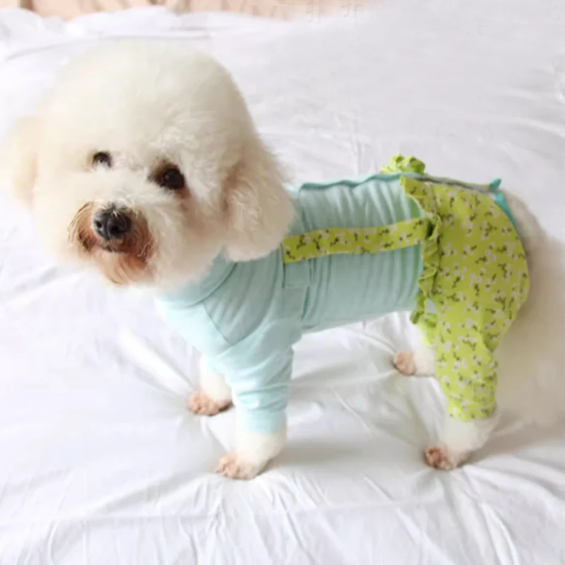 Fashion Simple Cotton Pet Dog Clothes Casual Sport Overalls Cute Jumpsuits For Small Medium Dog Poodle Yorkshire Puppy Clothes
Fashion Simple Cotton Pet Dog Clothes Casual Sport Overalls Cute Jumpsuits For Small Medium Dog Poodle Yorkshire Puppy Clothes