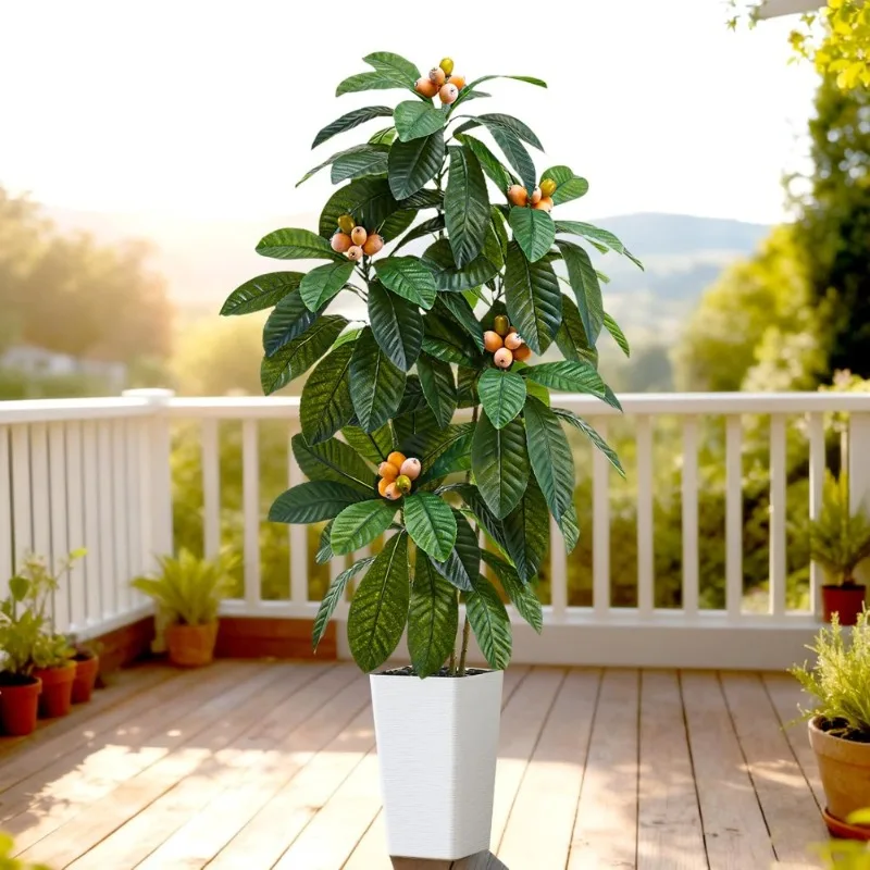 Artificial Loquat Tree Realistic Fake Tropical Fruit Plant Large Silk Floor Decor
Artificial Loquat Tree Realistic Fake Tropical Fruit Plant Large Silk Floor Decor