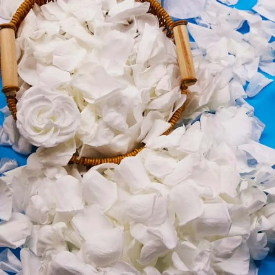 300Pcs Dried Real Rose Petals, Freeze Preserved Flower Petals 2.8 oz for Gifts Wedding Party Decor, Dinner Table Centerpieces,
300Pcs Dried Real Rose Petals, Freeze Preserved Flower Petals 2.8 oz for Gifts Wedding Party Decor, Dinner Table Centerpieces,