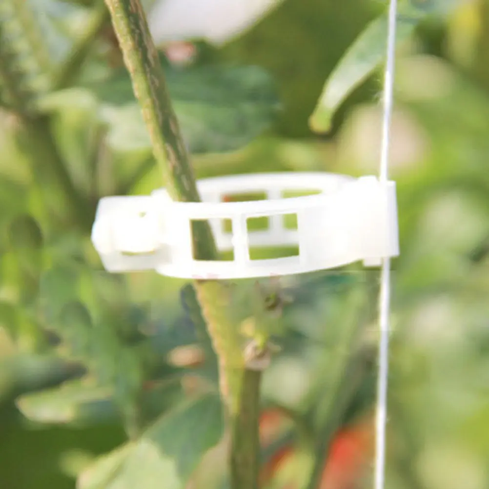 100Pcs White Gardening Vine Fixing Clips Oval 26x2cm Support Plant Vines Trellis Fasten Tomato Cucumber Pepper
100Pcs White Gardening Vine Fixing Clips Oval 26x2cm Support Plant Vines Trellis Fasten Tomato Cucumber Pepper