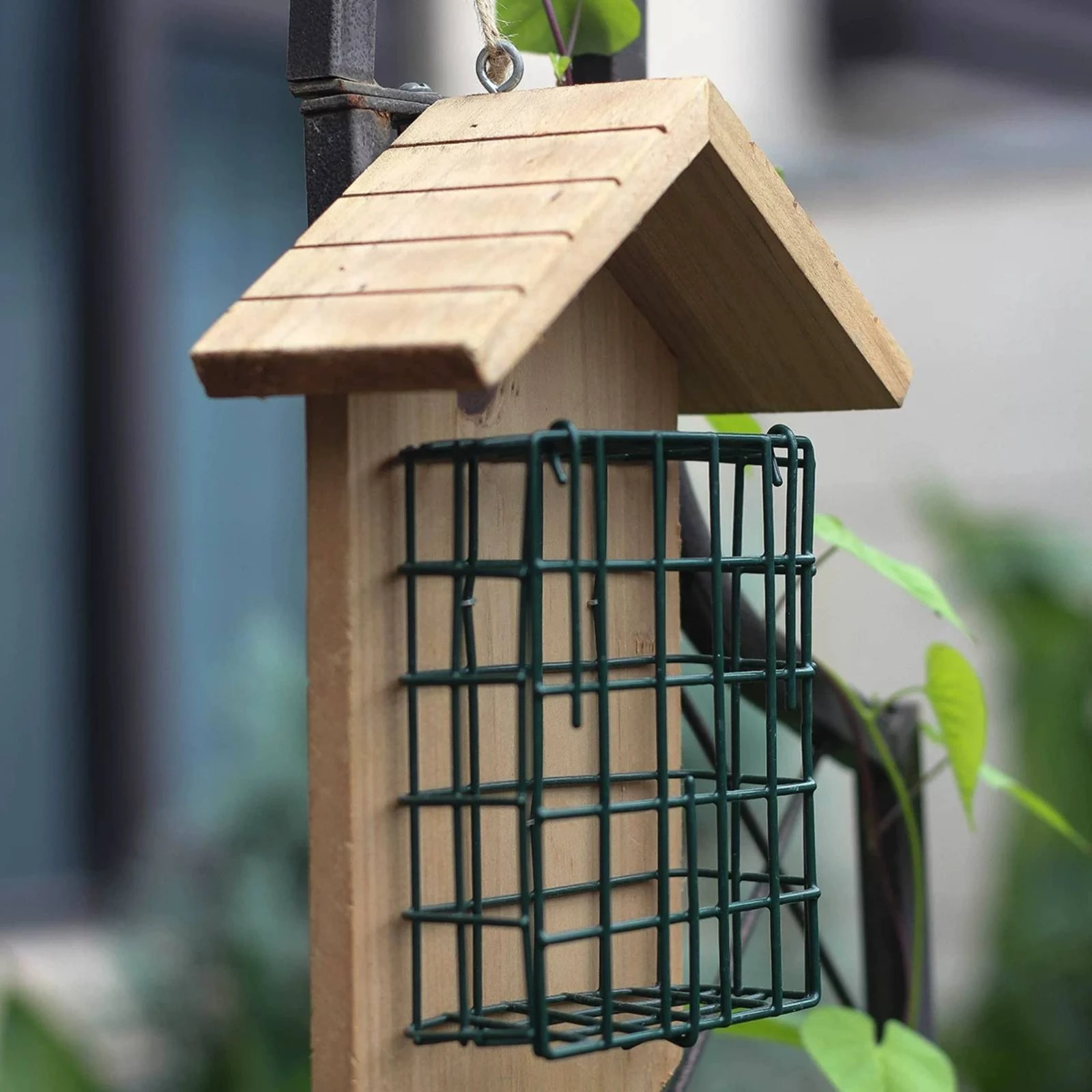 Hanging Wooden Bird Feeder Metal Wire Front Grid Garden Accessory for Courtyard
Hanging Wooden Bird Feeder Metal Wire Front Grid Garden Accessory for Courtyard