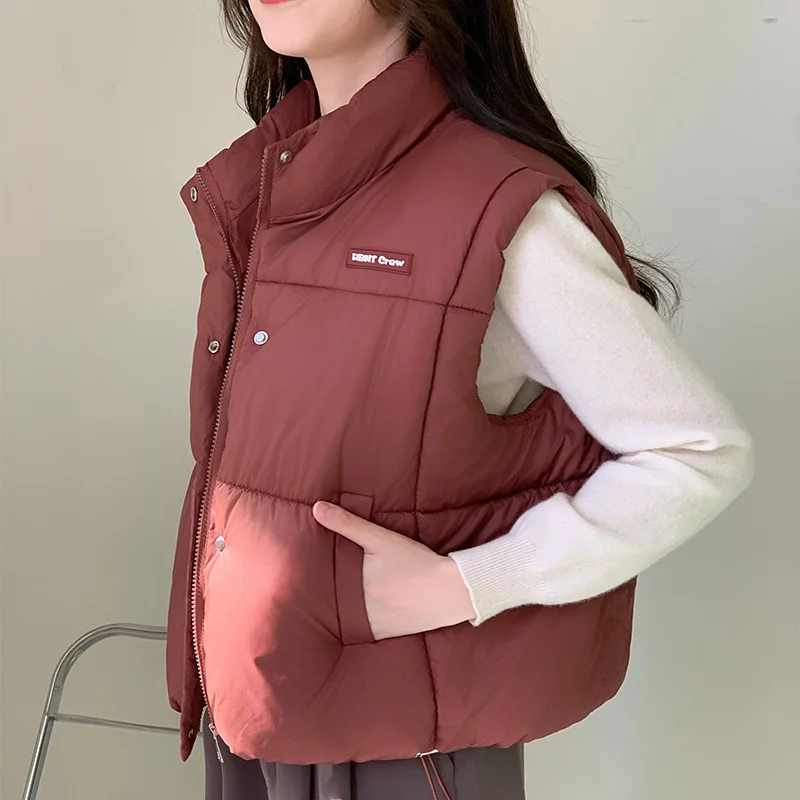 Down Cotton Vest Female 2024 New Autumn Winter Short Loose Casual Waistcoat Women Coats Fashion Sleeveless Jacket Female Tops
Down Cotton Vest Female 2024 New Autumn Winter Short Loose Casual Waistcoat Women Coats Fashion Sleeveless Jacket Female Tops