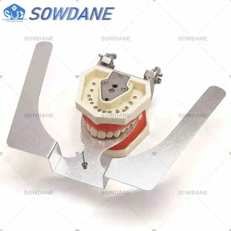 Dental Orthodontic Occlusal Maxillary Casting Jaw Fox Plane Plate Complete Denture for teeth whitening 3D
Dental Orthodontic Occlusal Maxillary Casting Jaw Fox Plane Plate Complete Denture for teeth whitening 3D