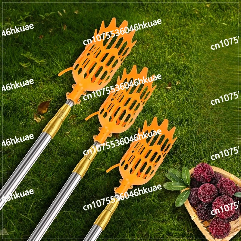 High-altitude Fruit Picker - An Efficient Tool for Picking Loquat, Dates, Persimmons, Figs, Peaches and Other Fruits
High-altitude Fruit Picker - An Efficient Tool for Picking Loquat, Dates, Persimmons, Figs, Peaches and Other Fruits