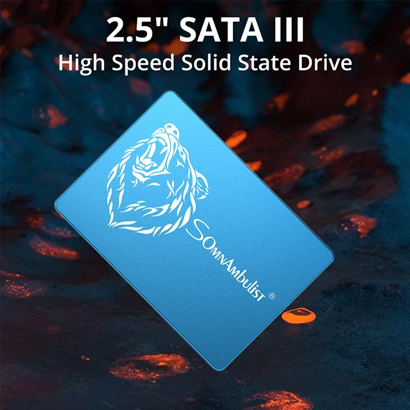 SomnAmbulist SSD Solid State Drive 128GB 240GB 256GB 480GB 512GB 960GB Solid State Drive Sata3 SSD 1TB 2TB SSD for LaptopDesktop
SomnAmbulist SSD Solid State Drive 128GB 240GB 256GB 480GB 512GB 960GB Solid State Drive Sata3 SSD 1TB 2TB SSD for LaptopDesktop