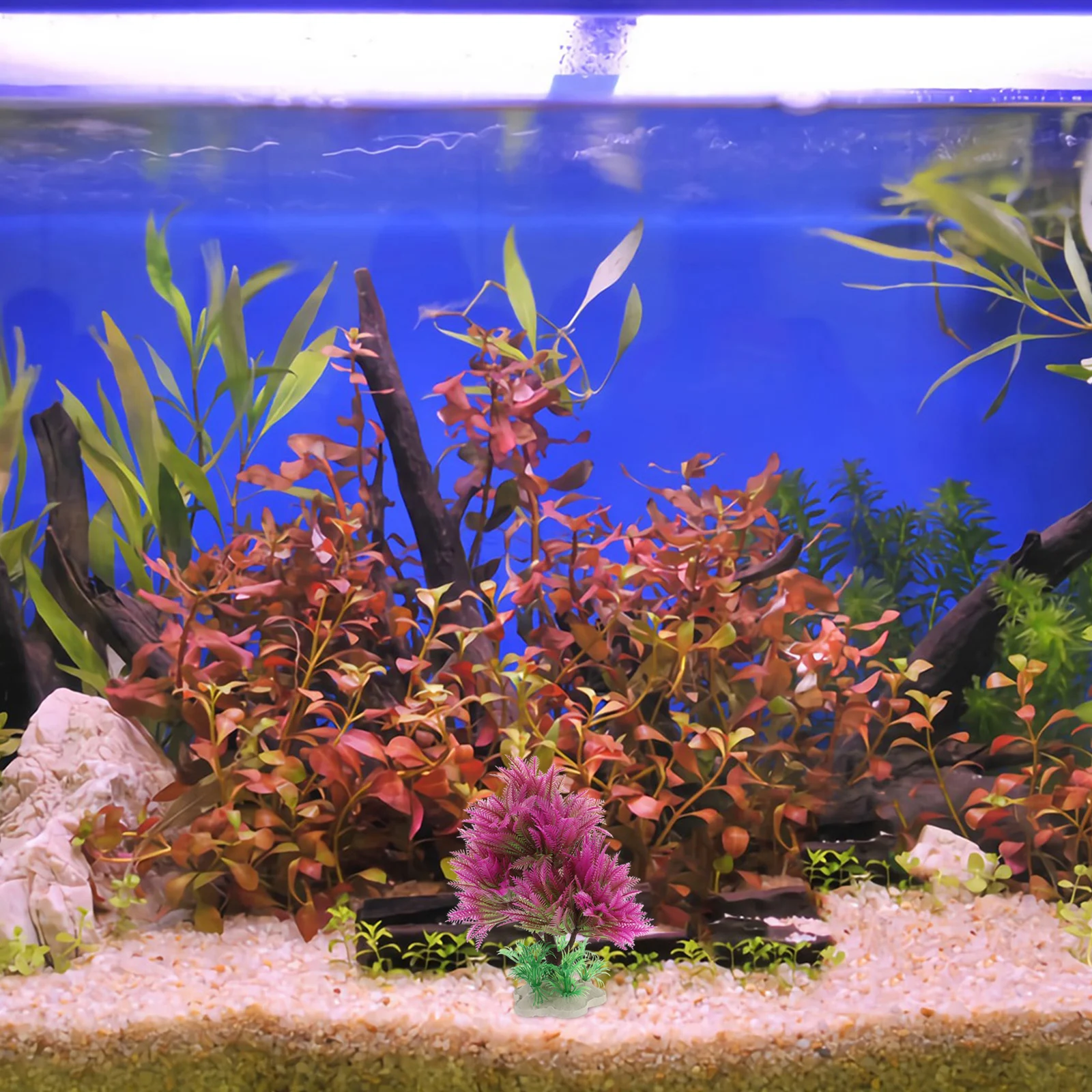 2Pcs Artificial Aquarium Plants High Realism Durable Plastic Water Grass Decor for Tank Seaweed Modeling Pet Supplies
2Pcs Artificial Aquarium Plants High Realism Durable Plastic Water Grass Decor for Tank Seaweed Modeling Pet Supplies