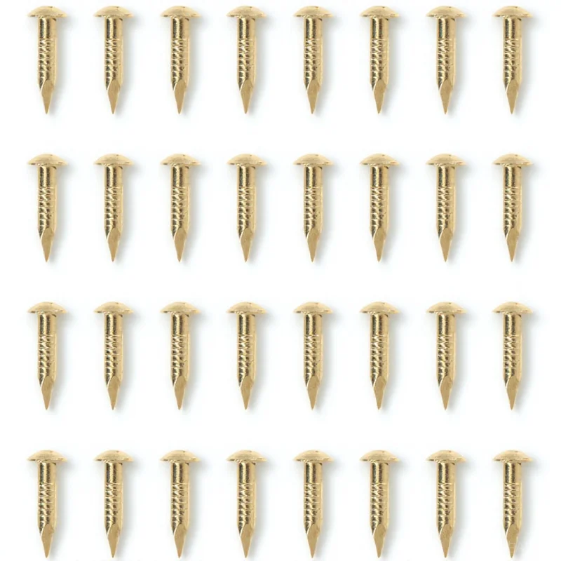 285Pcs Round Head Copper Nails Pure Brass Hard High Strength for Furniture Hinge Carpentry Decoration Fastening Crafts
285Pcs Round Head Copper Nails Pure Brass Hard High Strength for Furniture Hinge Carpentry Decoration Fastening Crafts