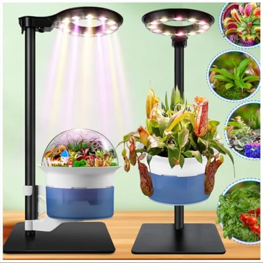 Large Plant Venus Fly Trap Terrarium Kit with Grow Light TimerandMetal Stand African Violet Pots Self Watering Planter for Herb
Large Plant Venus Fly Trap Terrarium Kit with Grow Light TimerandMetal Stand African Violet Pots Self Watering Planter for Herb