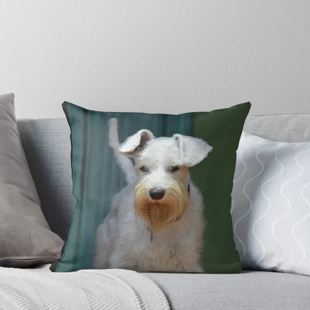 White Schnauzer Throw Pillow Sofa Pillow Cover Pillow Decor Marble Cushion Cover Decorative pillowcase
White Schnauzer Throw Pillow Sofa Pillow Cover Pillow Decor Marble Cushion Cover Decorative pillowcase