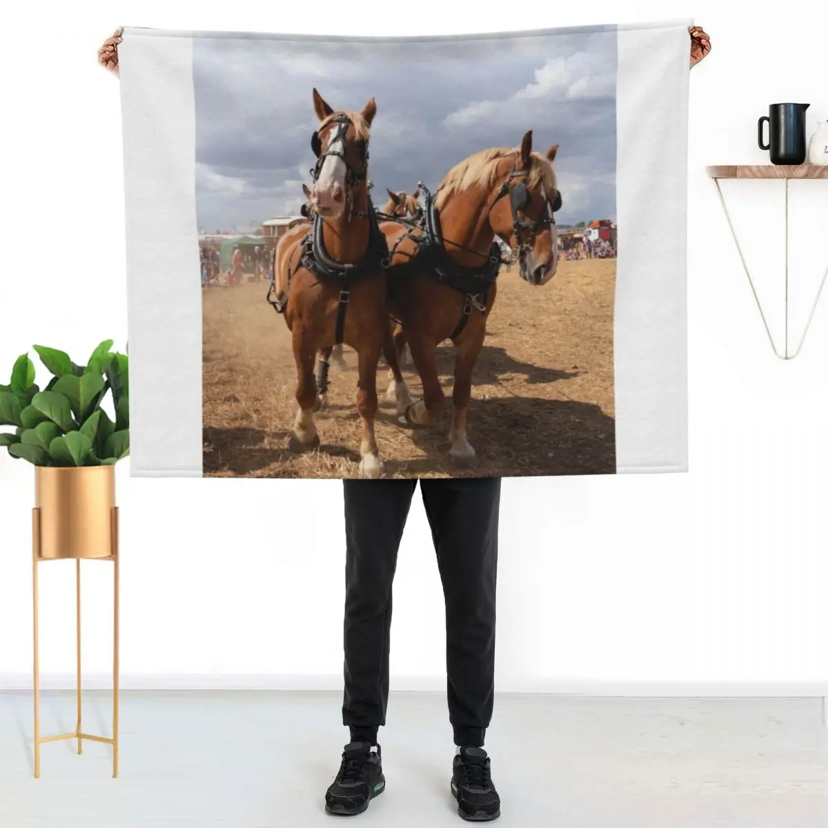 Belgian Beauties Throw Blanket Flannel Fleece Soft Warm Throw Blanket
Belgian Beauties Throw Blanket Flannel Fleece Soft Warm Throw Blanket
