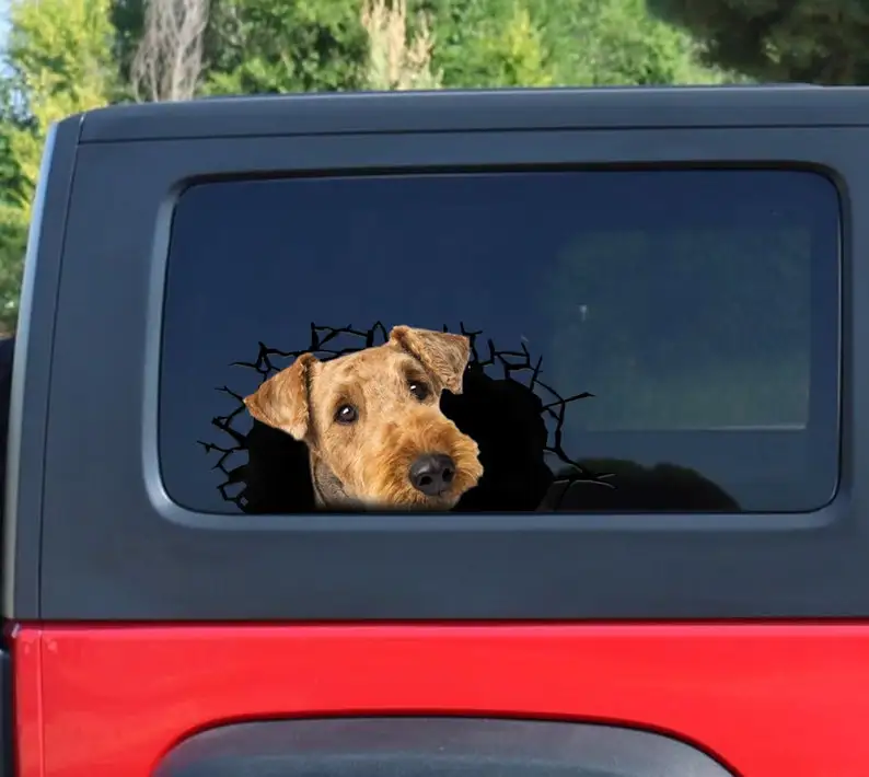 3D наклейка Airedale Terrier, наклейка с треснувшим окном, наклейка Airedale Terrier
3D наклейка Airedale Terrier, наклейка с треснувшим окном, наклейка Airedale Terrier
