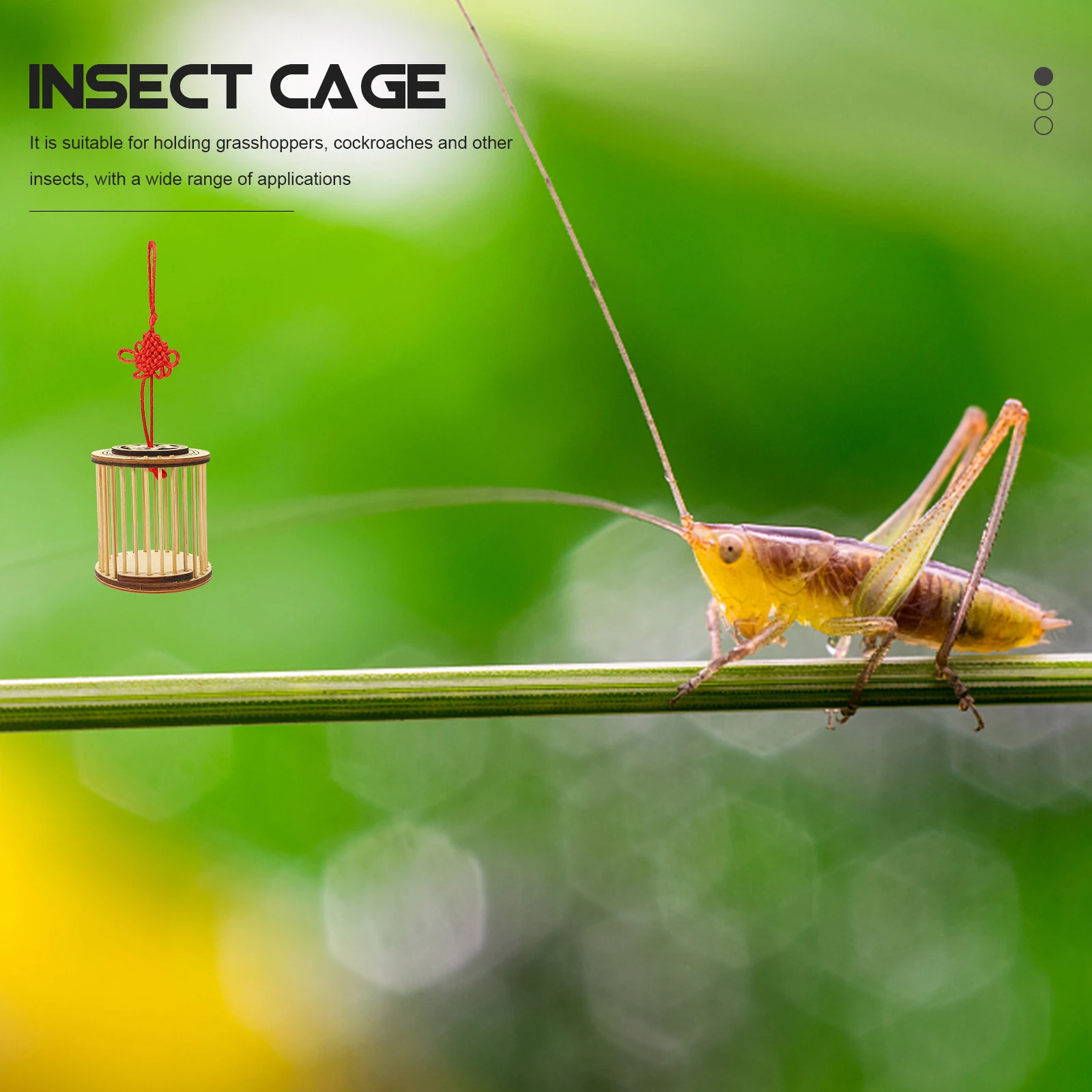 Portable Khaki Cage Storage Carrier Durable High-grade Safe Reliable Container Insect House Bamboo Pet
Portable Khaki Cage Storage Carrier Durable High-grade Safe Reliable Container Insect House Bamboo Pet