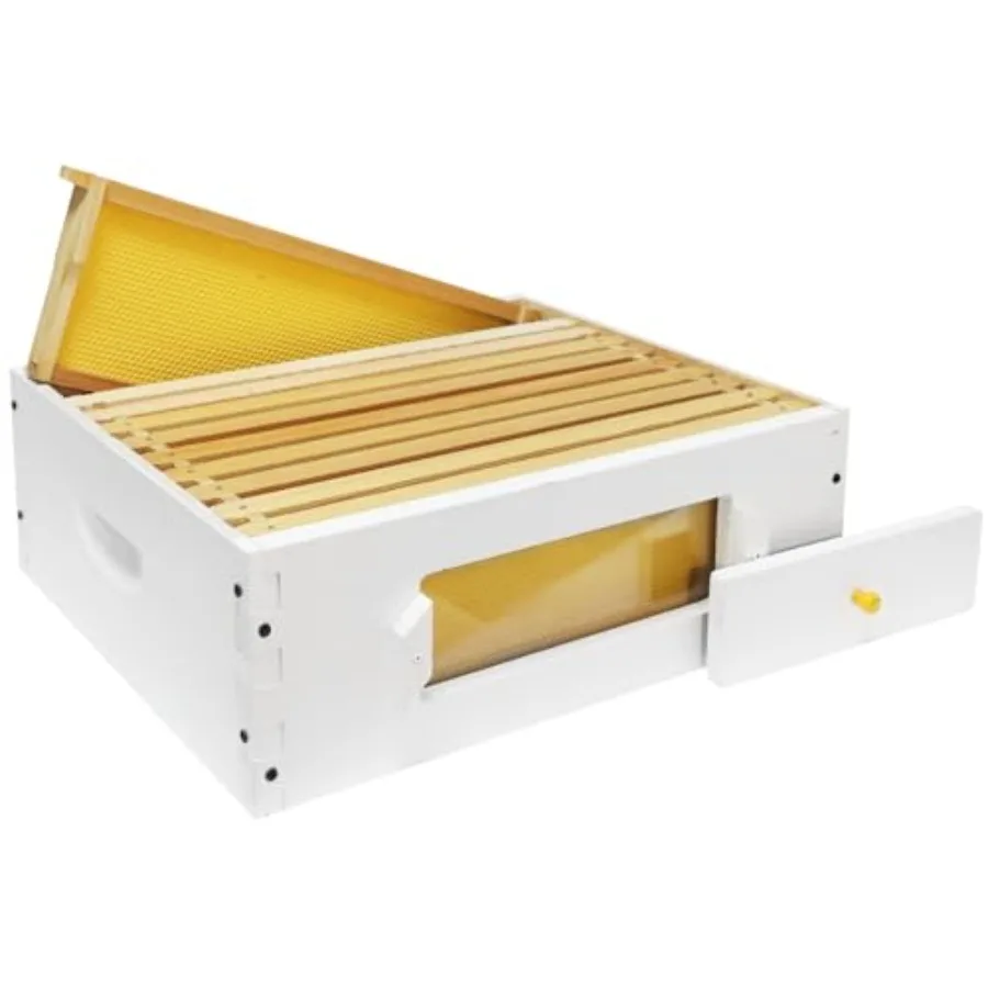 10 Frame Beehive Middle Box Super Bee Box Painted for Sale Bee Hives with Windows
10 Frame Beehive Middle Box Super Bee Box Painted for Sale Bee Hives with Windows