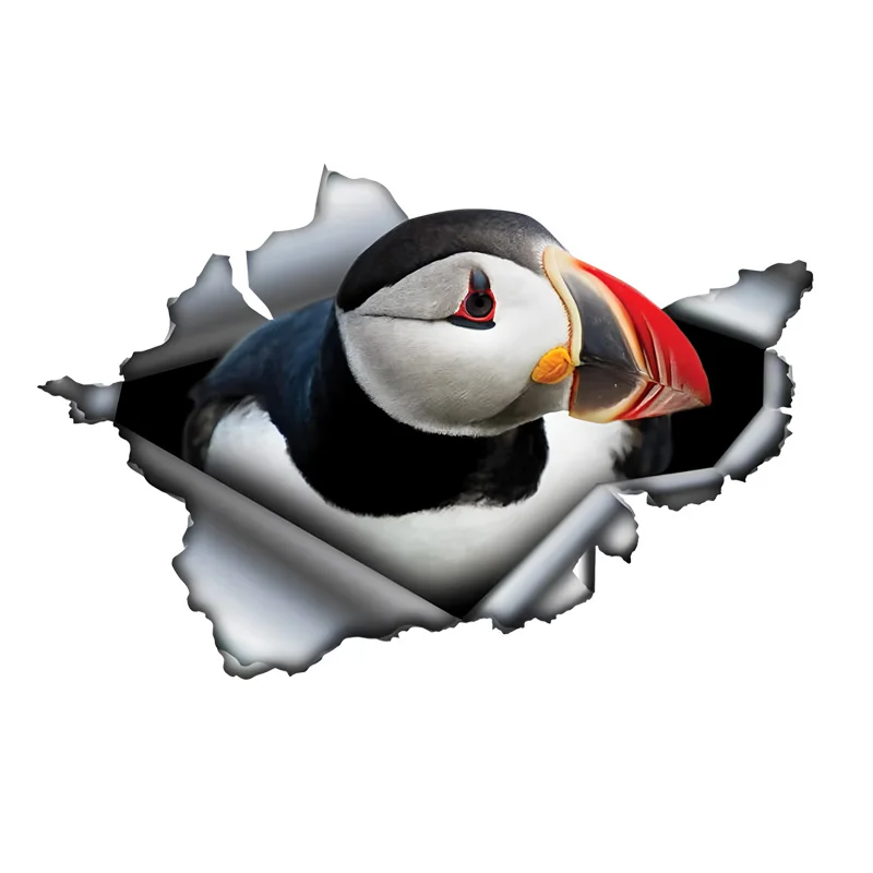 DK374# Atlantic Puffin Sticker Car Bumper Window Stickers For Car Truck Van Fashion Decals Vinyl Material Stickers
DK374# Atlantic Puffin Sticker Car Bumper Window Stickers For Car Truck Van Fashion Decals Vinyl Material Stickers