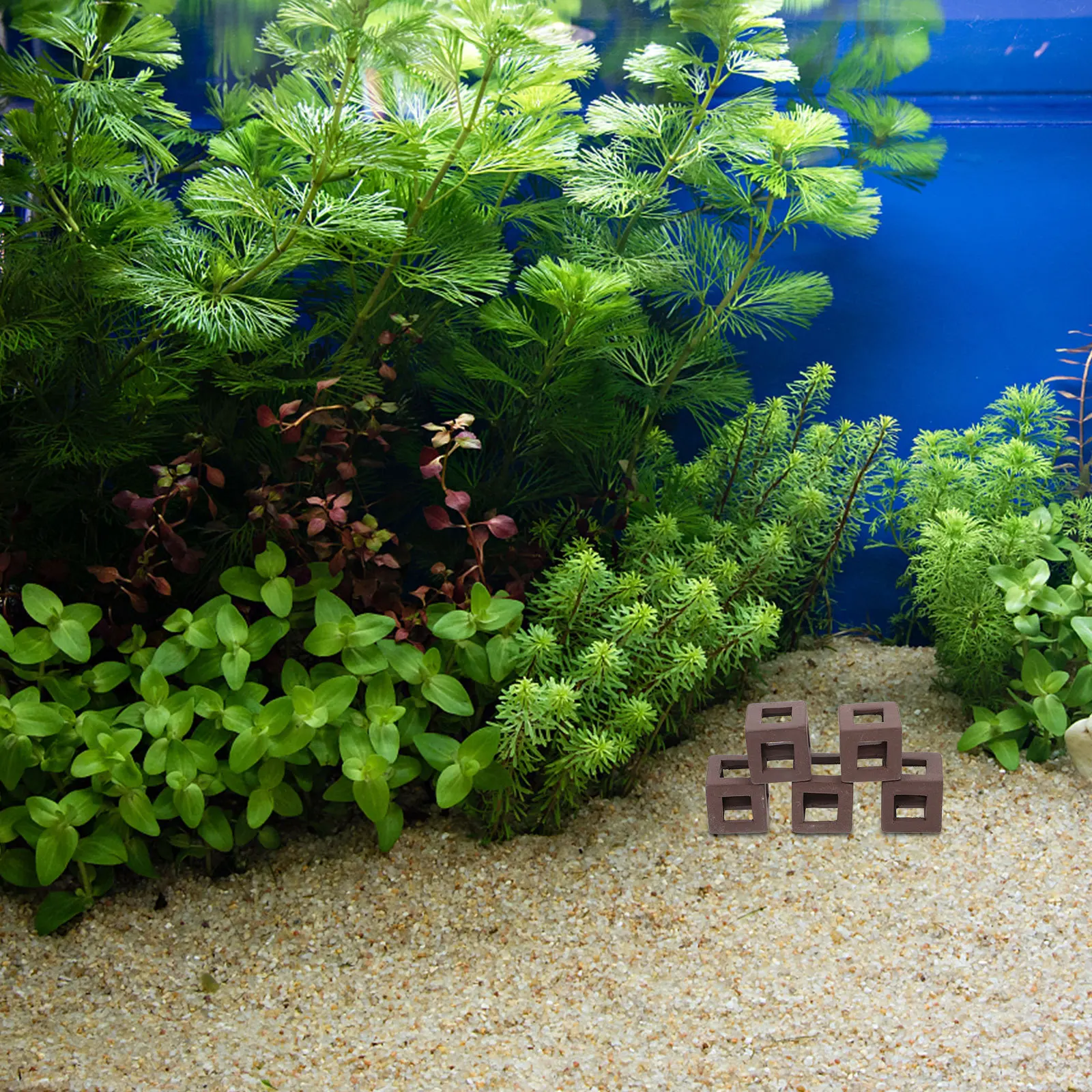 5Pcs Home Fish Tank Landscaping Decor Premium Ceramic Fish Shelter Realistic Design Aquarium Ornament Catch Eyes Fades Resistant
5Pcs Home Fish Tank Landscaping Decor Premium Ceramic Fish Shelter Realistic Design Aquarium Ornament Catch Eyes Fades Resistant