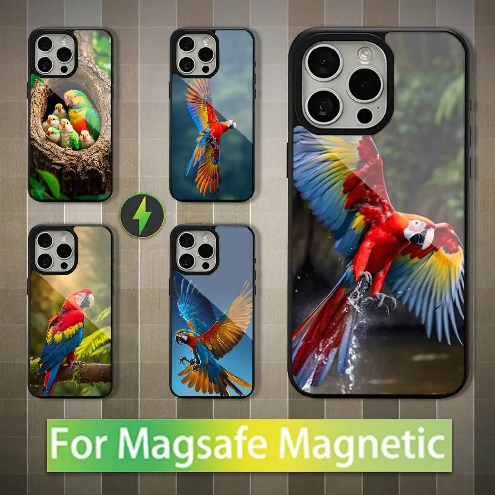 Animal Parrot Cute Phone Case For iPhone 16,17,15,14,13,12,11,Pro,Max,Plus,Mini,Magsafe,Magnetic Wireless Charging Case
Animal Parrot Cute Phone Case For iPhone 16,17,15,14,13,12,11,Pro,Max,Plus,Mini,Magsafe,Magnetic Wireless Charging Case