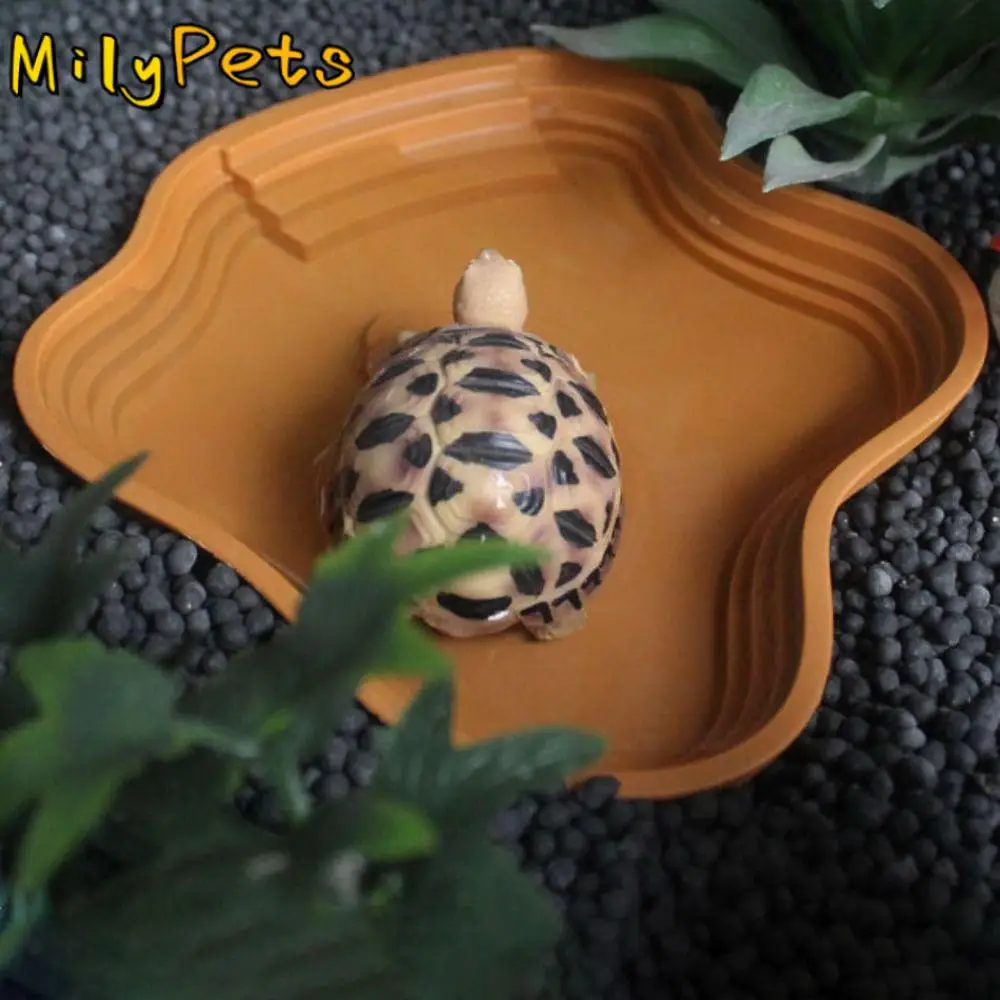 Stair Design Turtle Bathing Basin Anti-Slip Plastic Reptiles Water Basin Large Size Thickened Amphibian Water Bowl Frog
Stair Design Turtle Bathing Basin Anti-Slip Plastic Reptiles Water Basin Large Size Thickened Amphibian Water Bowl Frog