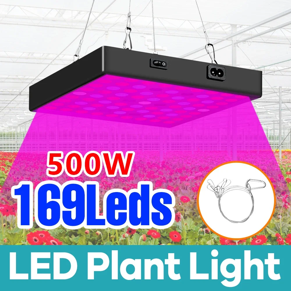 300W Full Spectrum LED Grow Light 220V/110V Sunlight UV IR Hydroponic Plant Fill Lamp Greenhouse Tent Seeds Growth Lamps
300W Full Spectrum LED Grow Light 220V/110V Sunlight UV IR Hydroponic Plant Fill Lamp Greenhouse Tent Seeds Growth Lamps