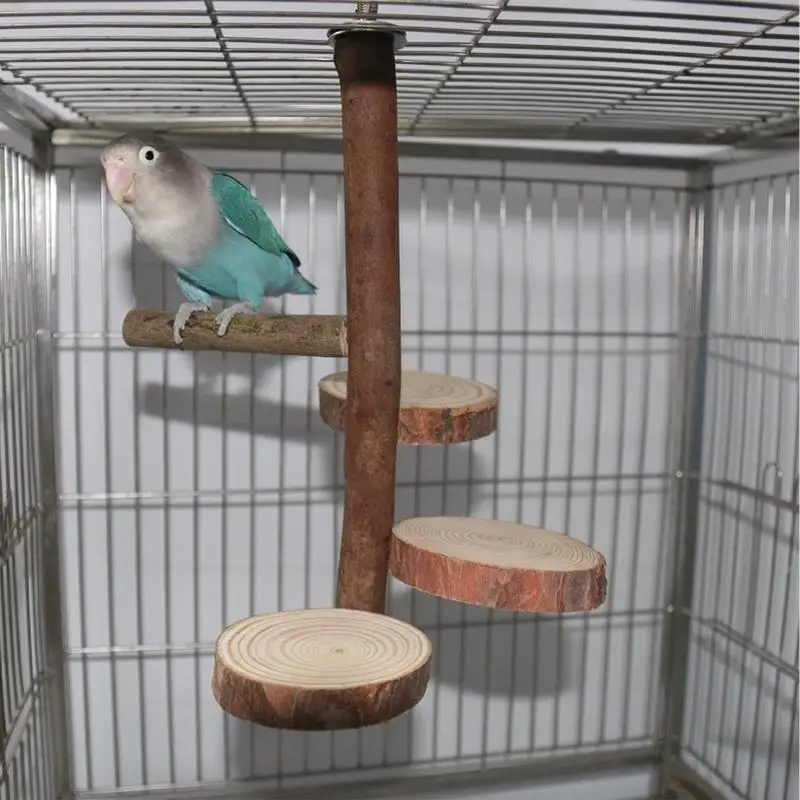Natural Wood Bird Perch Stand Perch Bird Cage Branch Natural Wood Cage Accessories Parrot Play Stand Toy Safe And Practical For
Natural Wood Bird Perch Stand Perch Bird Cage Branch Natural Wood Cage Accessories Parrot Play Stand Toy Safe And Practical For