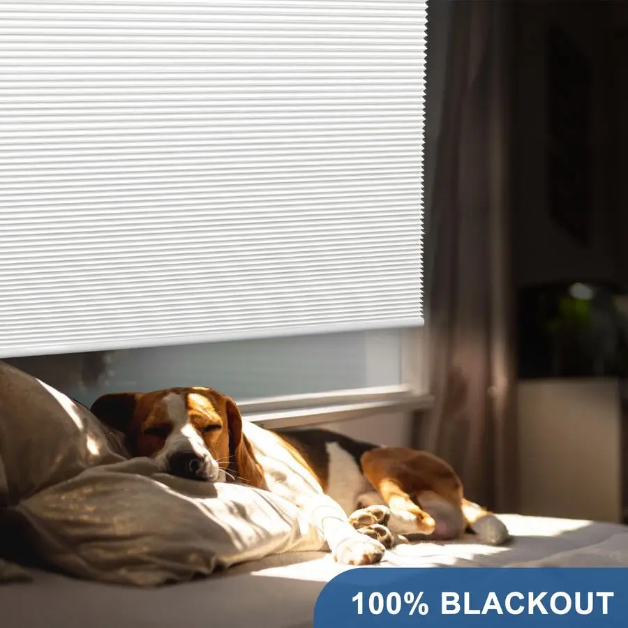 Shades Cordless Blinds Cellular Fabric Blinds Honeycomb Door Window Shades 35x64, WhiteWhite
Shades Cordless Blinds Cellular Fabric Blinds Honeycomb Door Window Shades 35x64, WhiteWhite